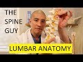 The Spine Guy - Lumbar Anatomy and How to Read a Lumbar MRI