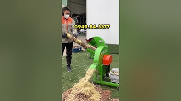 Máy băm chuối C600