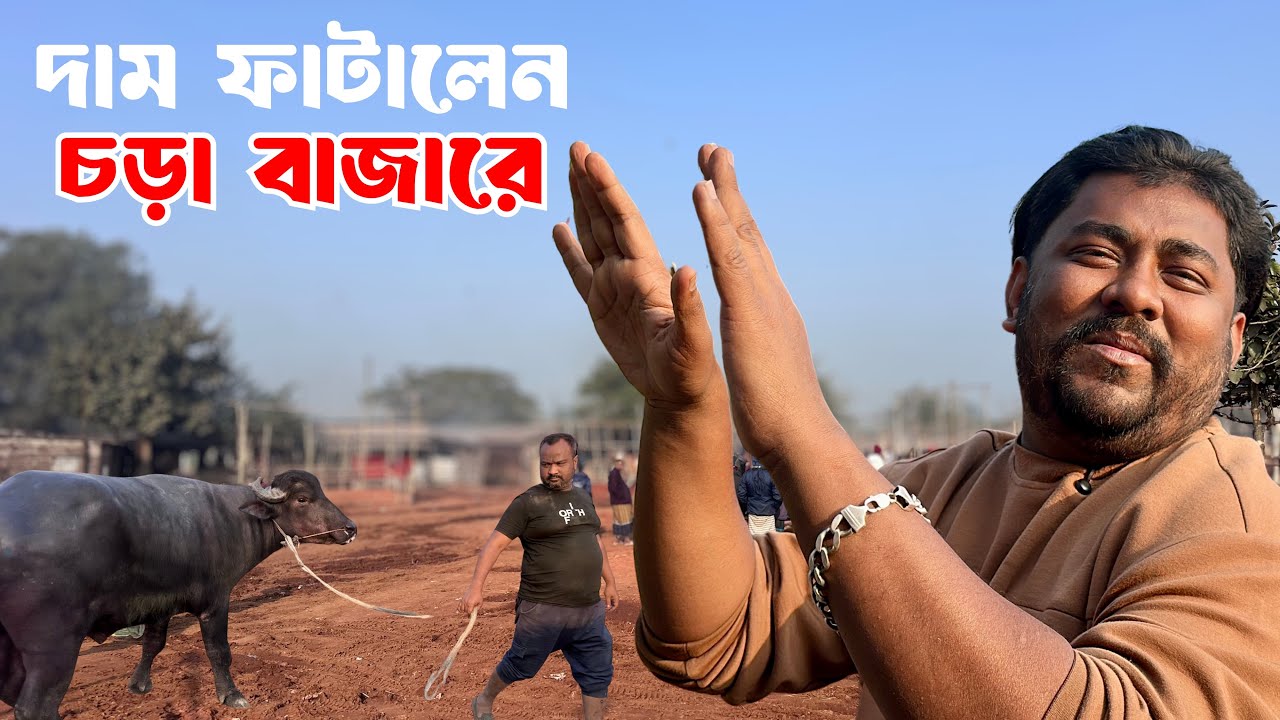 রাজশাহী সিটি হাটে দাম ফাটালেন পুরান ঢাকার নয়ন ভাই | ৬০০ টাকায় গরু, ৭০০ টাকায় মহিষ | Beef Price BD