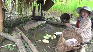 ncig saib hmoob mus las nplej thiab de dib