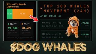 Massive Dog Whales Stacking Over Weekend