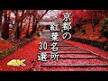 【4K 京都の紅葉🍁30選】鮮やかな極上の名所
