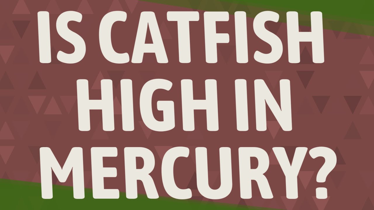 Is catfish high in mercury? YouTube