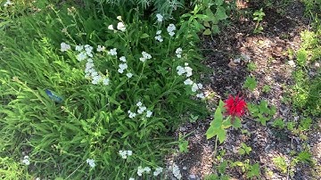 Shortest Video on YouTube (My Version) Part 13