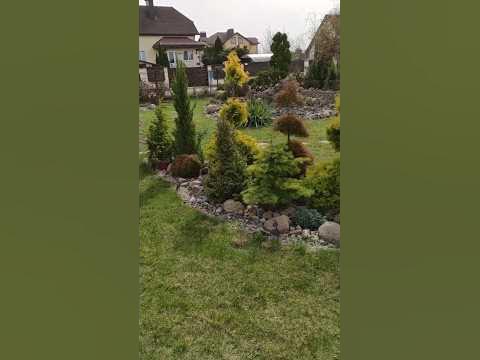 Зеленый красивый газон без сорняков 💚. Как я этого добиваюсь? # ...