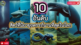 10 อันดับ สัตว์ที่มีอายุครรภ์นานที่สุดในโลก