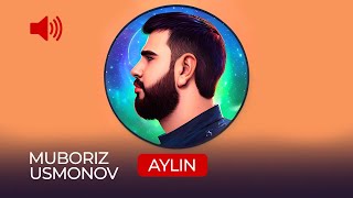 Мубориз Усмонов - Айлин / Muboriz Usmonov - Aylin (Audio 2023)