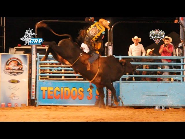 Festa do Peão terá o Circuito Rancho Primavera, melhor competição de rodeio  do país