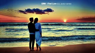 Crw  I Feel Love   Dj Junior Remix 
