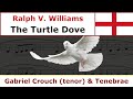 Miniature de la vidéo de la chanson The Turtle Dove