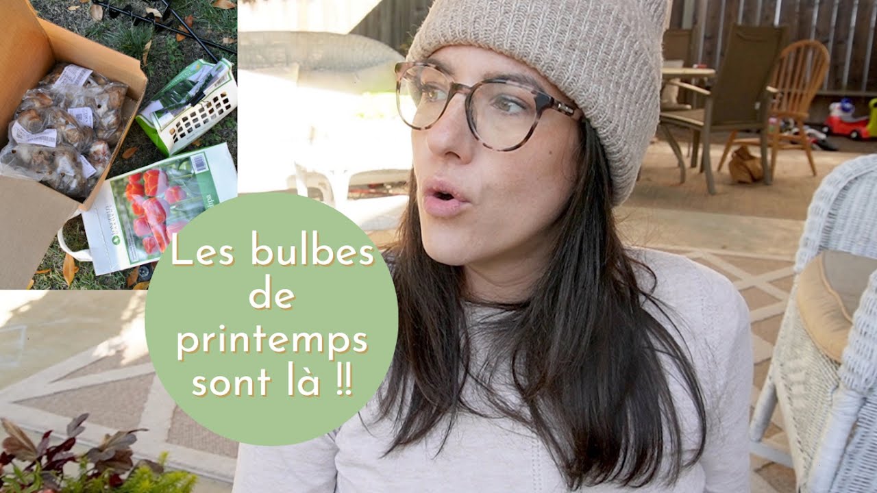 Bulbes pour le printemps prochain : haul & plantations