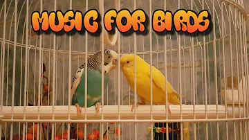 Calming Music For Birds || My Budgies || Relaxing Music to Tame your Birds