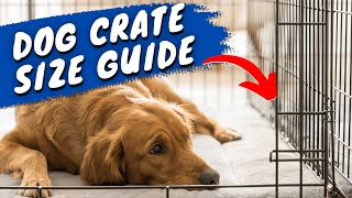 Avoid Choosing The WRONG Dog Crate Size