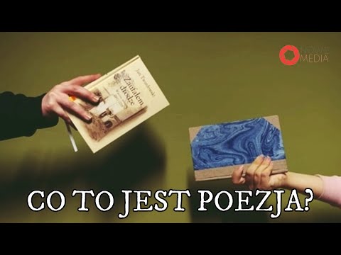 Sonda: Co to