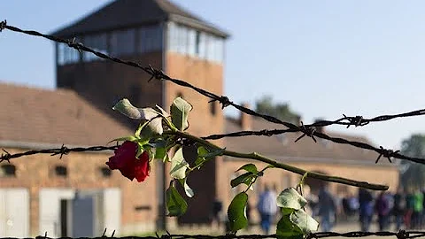 Is it God's fault that we have evil in this world? Christian Questions, Moments that Matter