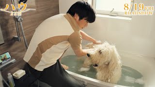 田中圭、“愛犬”とほほ笑ましい日常　初めての散歩＆お風呂に大奮闘！　映画「ハウ」本編映像