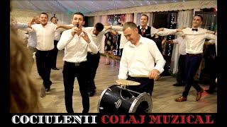 Miniatura de "Cociulenii Colaj Muzical de Petrecere Live NUNTA"