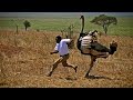 TOP 10 ANIMALES MÁS LETALES DEL SAHARA