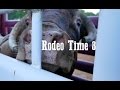 BUCKIN BULLS & DALES SECRET WEAPON - Rodeo Time 8