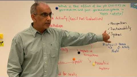 IB ESS IA First Exams 2026