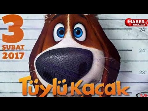 Tüylü kaçak / #türkçedublajyabancıfilmler #filmizle#animasyonfilmi