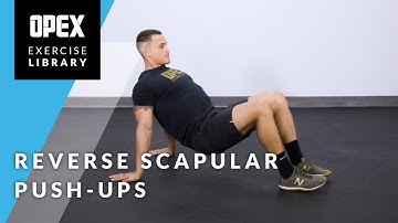 Reverse Scapular Push Up - Opex Exercise Library