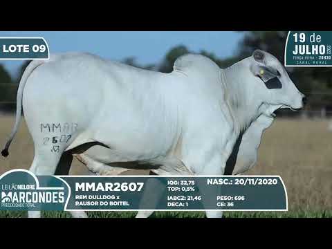 LOTE 09   MMAR 2607