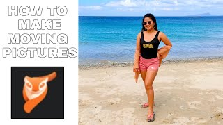 HOW TO MAKE MOVING PICTURES USING PIXALOOP screenshot 2