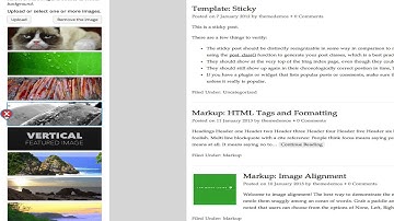 WordPress theme customizer multi image control in action