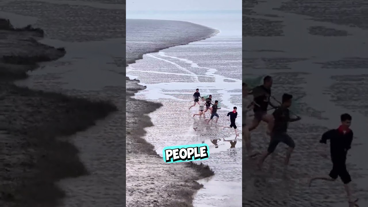 The Most Confusing Video Ever 😳 