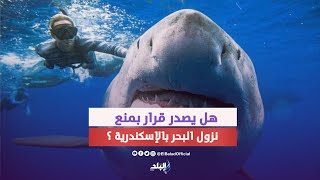 ظهور قرش وكائنات غريبة في الإسكندرية .. ماذا يحدث ؟