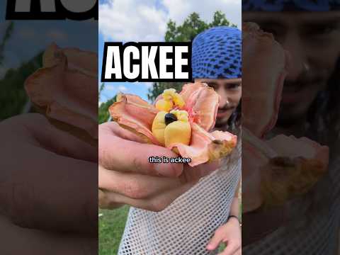 Ackee For Thought