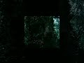 What if ?- Giga meets.... | SURYA EDIT | #shorts#indominusrex#viralshorts