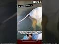 川にゴジラのような生物