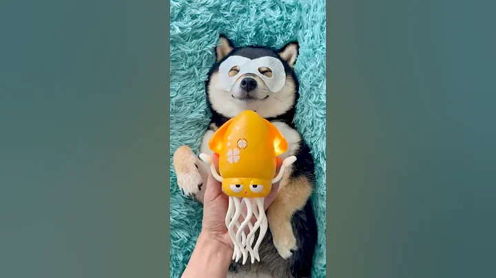 ASMR | Manyu Care SPA - Let’s Relax Together thumbnail