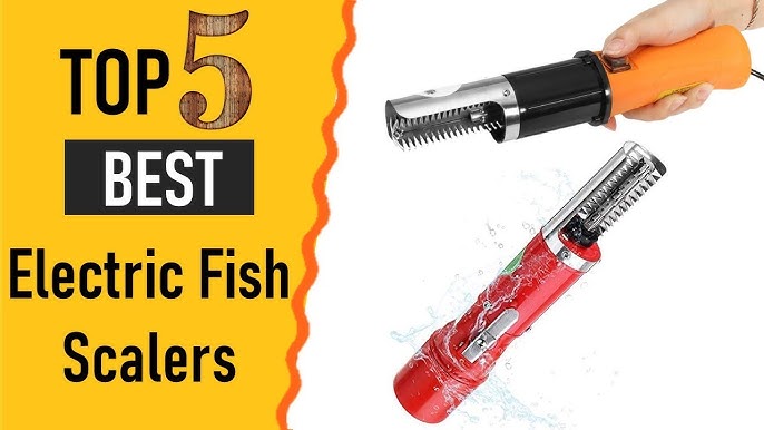 Top 5 Best Fish Scalers Review in 2023 