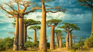 50 Greatest Natural Wonders Of The World