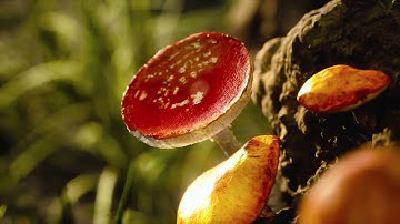 Photorealism in Unreal Engine 5 Lumen