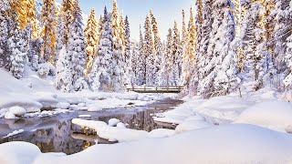 ❄Beautiful Snow Scene - Winter Scene - Relaxing Piano Sleep Music: Meditation, Spa Music &amp; Study 105