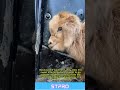 A Warm Ride on a Cold Day
