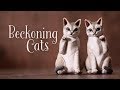 【石粉粘土】幸せを呼ぶ2匹の招き猫 DIY Two beckoning cats carrying happiness [Stone powder clay]