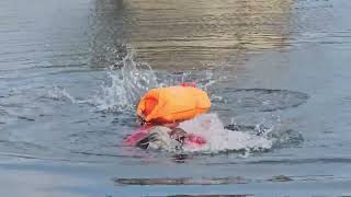 Download Lagu 1.10km open water recreational swimming at Maqalika dam, Maseru, this afternoon. MP3