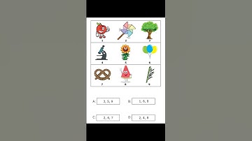 WISC-V Test Preparation Book: Practice for WISC-V Test with Picture Concepts and Picture Span tests