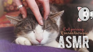 ASMR Français ~ Cat purring / Ronronnement  Ronronthérapie