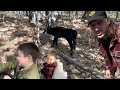 New calf on homestead
