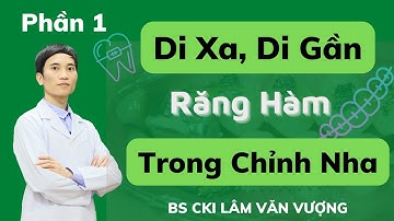 P1 Di Xa, Di Gần Răng Hàm Trong Chỉnh Nha