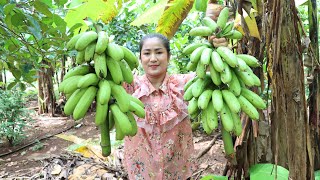 Harvest Green Banana And Make It Ripe / Yummy Banana Dessert Recipe / Cooking With Sreypov