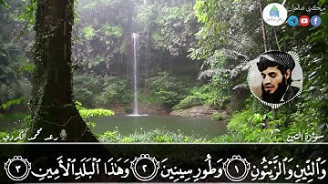 سورة التين- تلاوة هادئة وجميلة لقارئ #رعد محمد الكردي