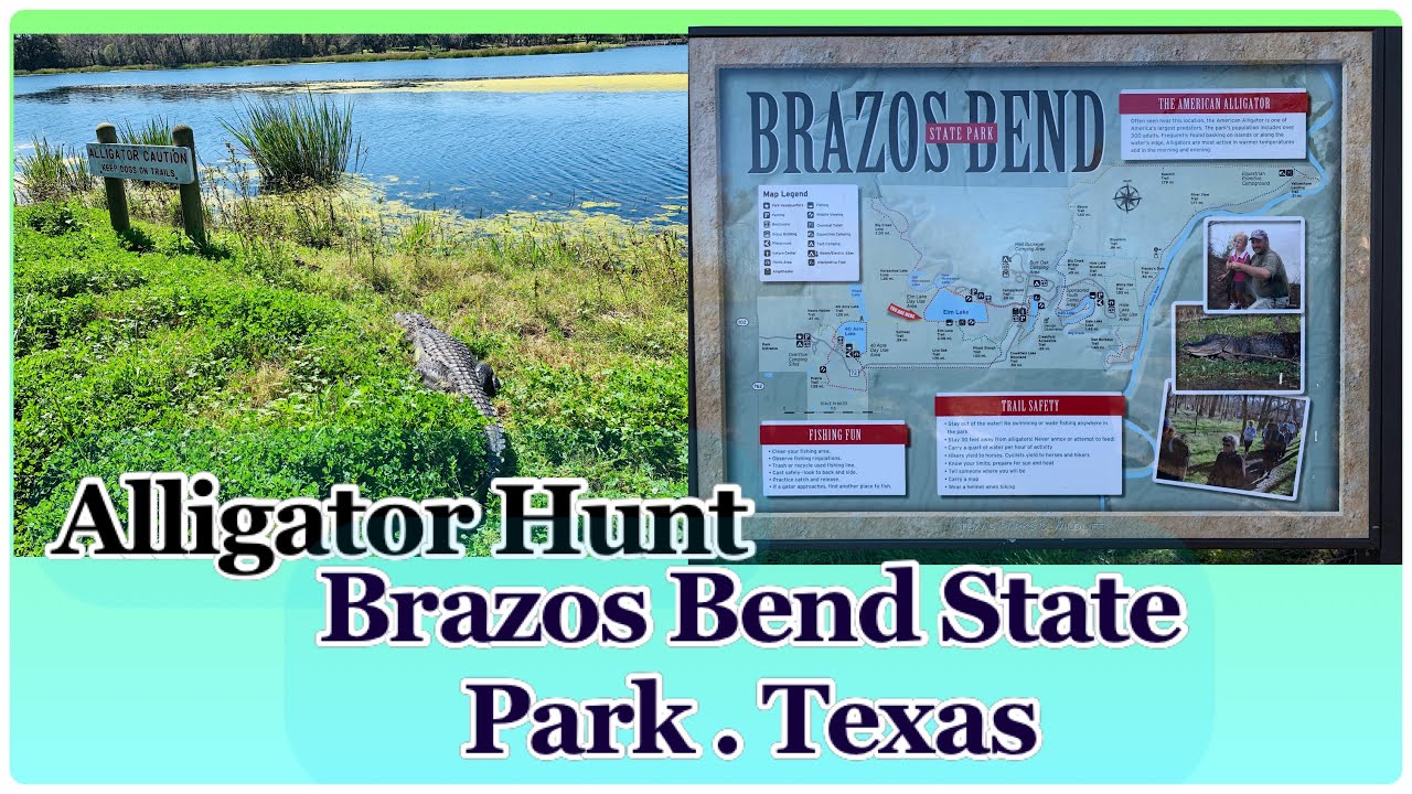 Brazos Bend State Park Tx || Alligators Hunt.