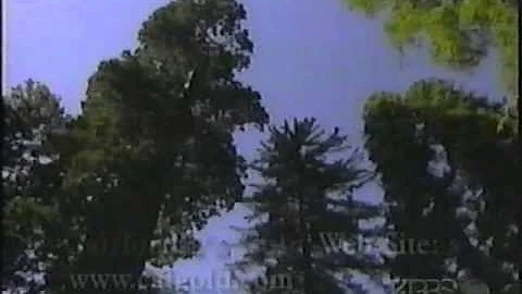 "Only God Can Make A Tree" from Huell Howser "Tree...